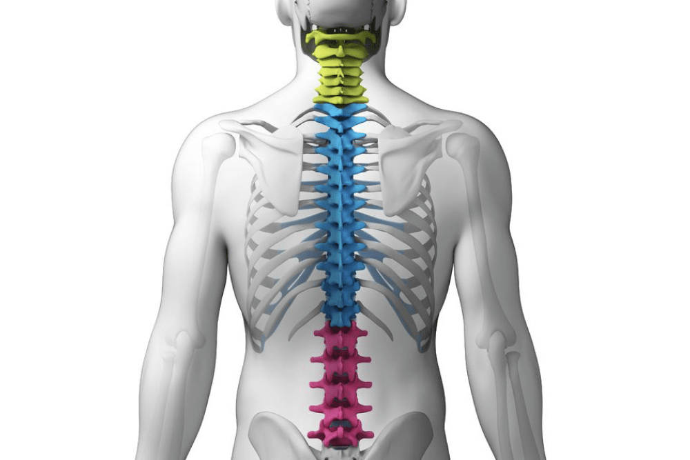 Thoracic Spine Fractures Treatment in Bangalore