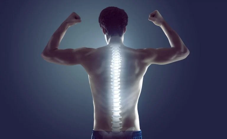 Healthy Spine